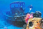 Centre de plongée sous-marine « Apnea »