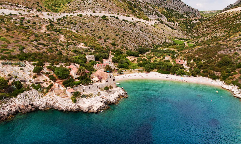 a beach with houses and trees