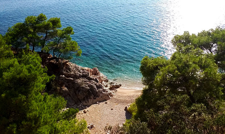 a rocky beach with trees and a body of water in the background