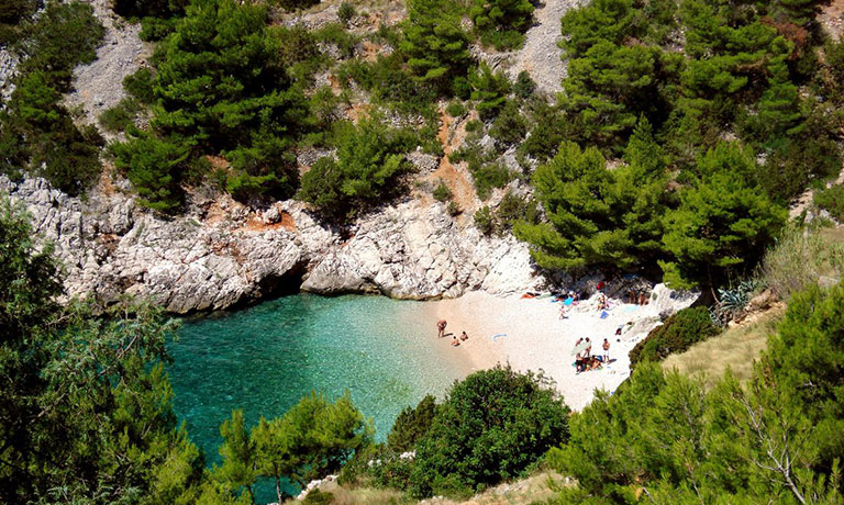 a beach with people on it