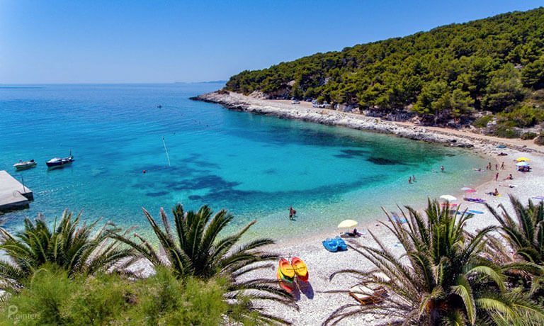 a beach with people swimming in it