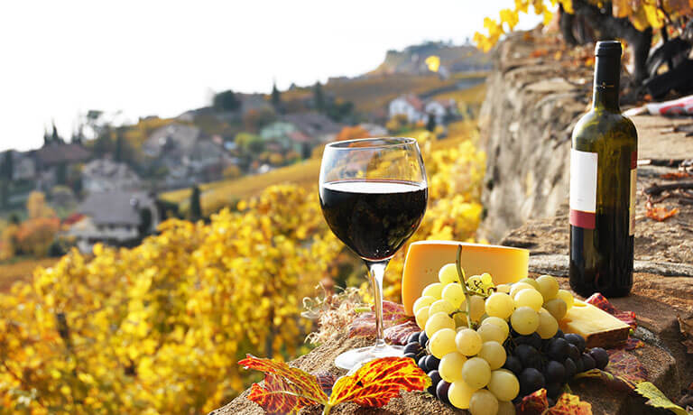 Ein Glas Wein neben einem Teller mit Trauben und einer Flasche Wein