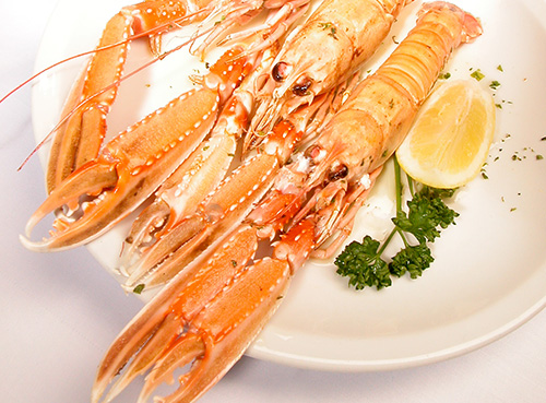Scampi-Buzara