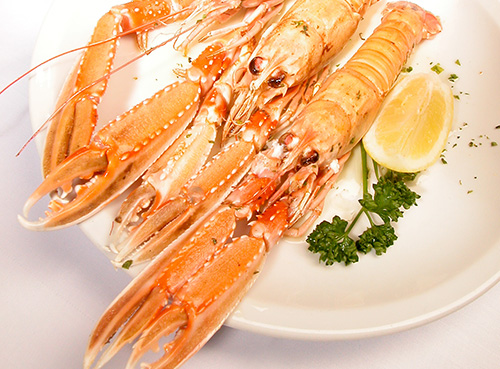 Dégustez un savoureux ragoût de langoustines