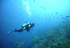 Plongée sous-marine «Scubacenter»