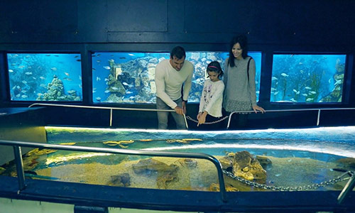 a group of people standing in front of a fish tank