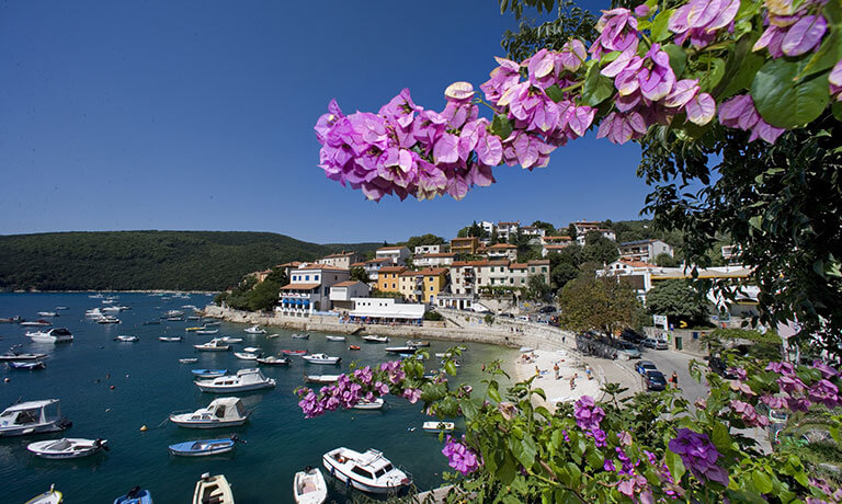 a body of water with boats and buildings along it