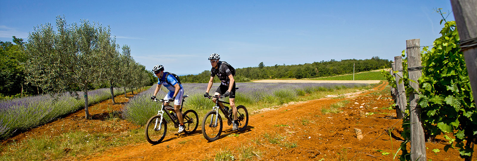 Valamar Diamant Hotel & Residence Poreč, Croatia - Sport Hotel in Istria