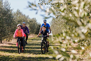 a group of people riding bikes